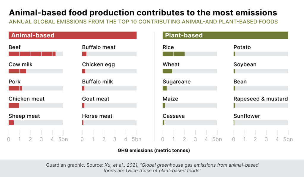 Animal-based food production contributes to the most emissions. Annual global emissions from the top 10 contributing animal-and plant-based foods 