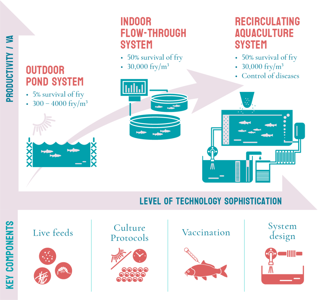 Productivity vs level of technology sophistication for outdoor pond system, indoor flow-through system, and recirculating aquaculture system. 