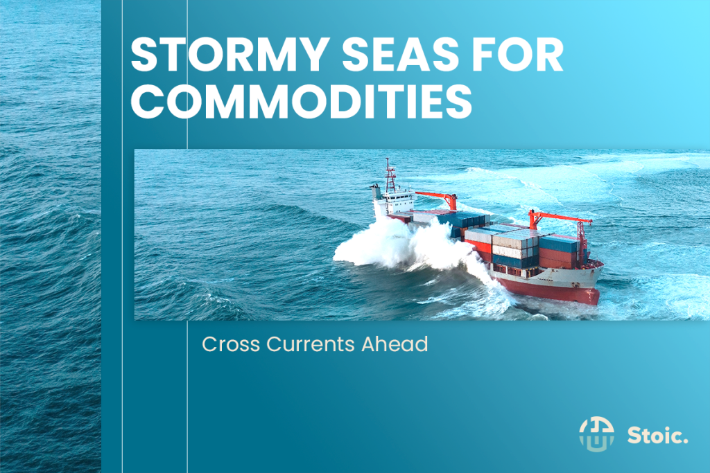 Ship of commodities in the stormy seas