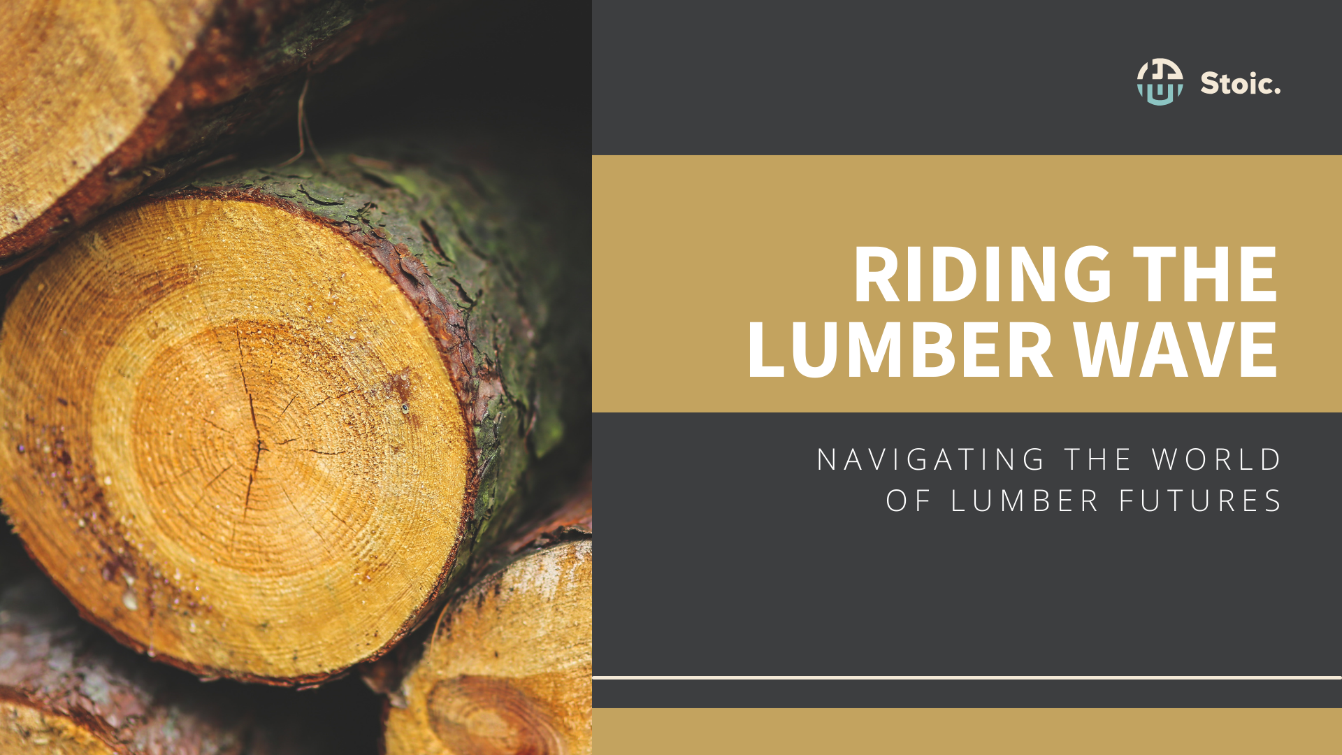 Riding the lumber wave banner